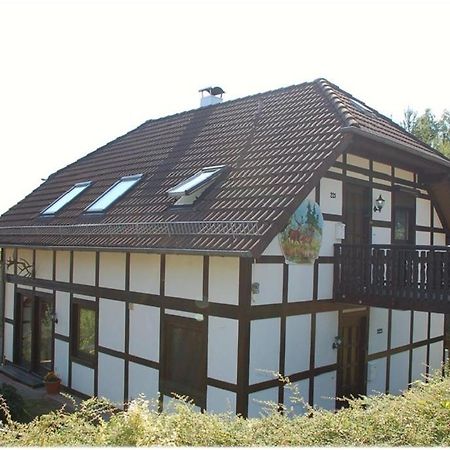 Apartment Edersee Fuer 4 Personen Frankenau Exteriör bild